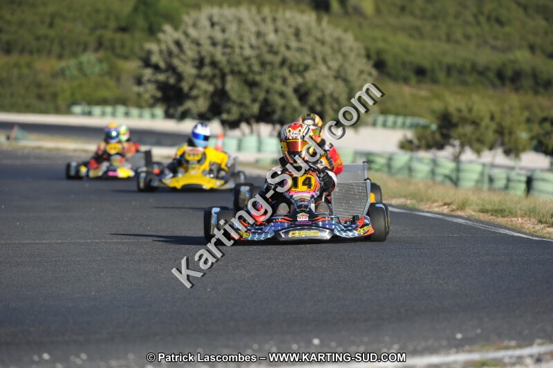DSC (2095).JPG